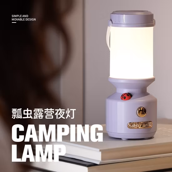 LED Outdoor Floor Lighting Rechargeable Glow Garden Floor Lamp